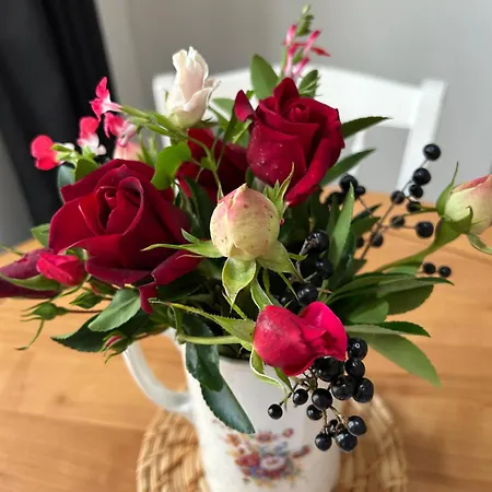 Des Hirondelles * Saint-Hilaire-des-Loges