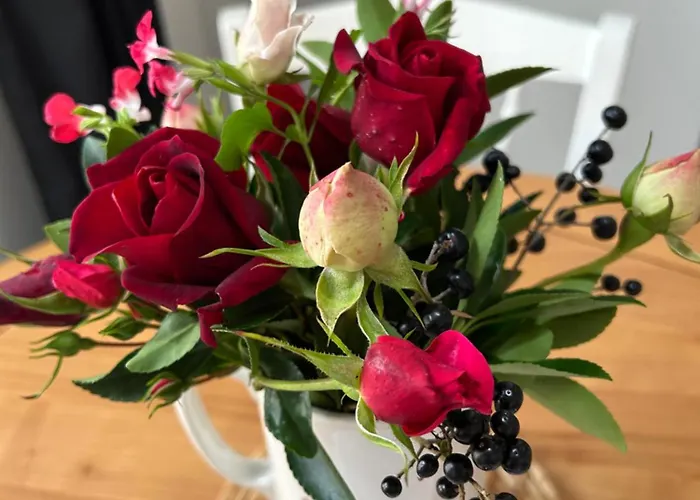 Des Hirondelles * Saint-Hilaire-des-Loges